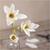 Kreativ Set Floristen-Krepppapier, Magnolienzweig, Extrastarkes Krepp, 105 g Bild 5