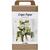 Maxi Kreativ Set Floristen-Krepppapier, Blumenstrau�, Hellgr�n, Dunkelgr�n, Pastellgr�n, Wei�