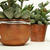 Viva Decor Rusty-/Rost-Patina 50ml, Oxidbraun Bild 3