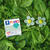 NEU Fimo Effect 57g, Botanical Spinat Grn Bild 3