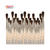 SALE Groes Haar-Pinsel-Set, 12 Stck, Gre 6 - 12er-Set, Gr.6