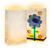 Lichtertte, 19x11,5x7cm, 5 Stck Blanko Bild 2