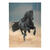NEU Sammelmappe mit Gummiband, A3, 1 Mappe, BASIC BLACK HORSE / Pferd - Pferd