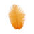 Straussenfeder, 20 cm, 2 Stck, Orange
