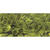 Rayher Pailletten gewlbt, waschbar, 6mm , 4000 Stck, oliv Bild 3