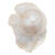 Swasserperle Itoshii, Barock, 28 x 16 x 12 mm, 1 Stk, Natur Bild 2