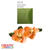 SALE Floristen Krepp-Papier, 1 Rolle, 50x250 cm, Grasgrn - Grasgrn