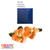 SALE Floristen Krepp-Papier, 1 Rolle, 50x250 cm, Knigsblau - Knigsblau
