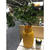 SALE Hobby Line Acryl-Mattfarbe, 50ml, Zitronengelb Bild 3