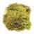 Islandmoos hellgrün, ca. 50g - Islandmoos Hellgrün, 50 g
