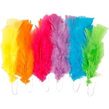 TOP-SELLER ! Federn, L: 11-17 cm, 6 sortierte Farben
