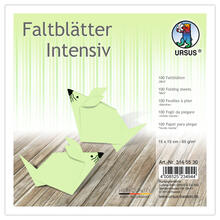 Faltbltter intensiv, 100 Blatt, 15 x 15 cm, Mint