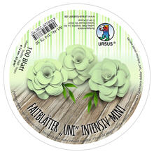 Faltbltter Rund, intensiv durchgefrbt, 100 Blatt,  12 cm, 65g/qm, Mint
