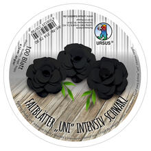 Faltbltter Rund, intensiv durchgefrbt, 100 Blatt,  12 cm, 65g/qm, Schwarz
