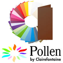 SALE Pollen Papeterie Klappkarte lang 25 St. Schoko