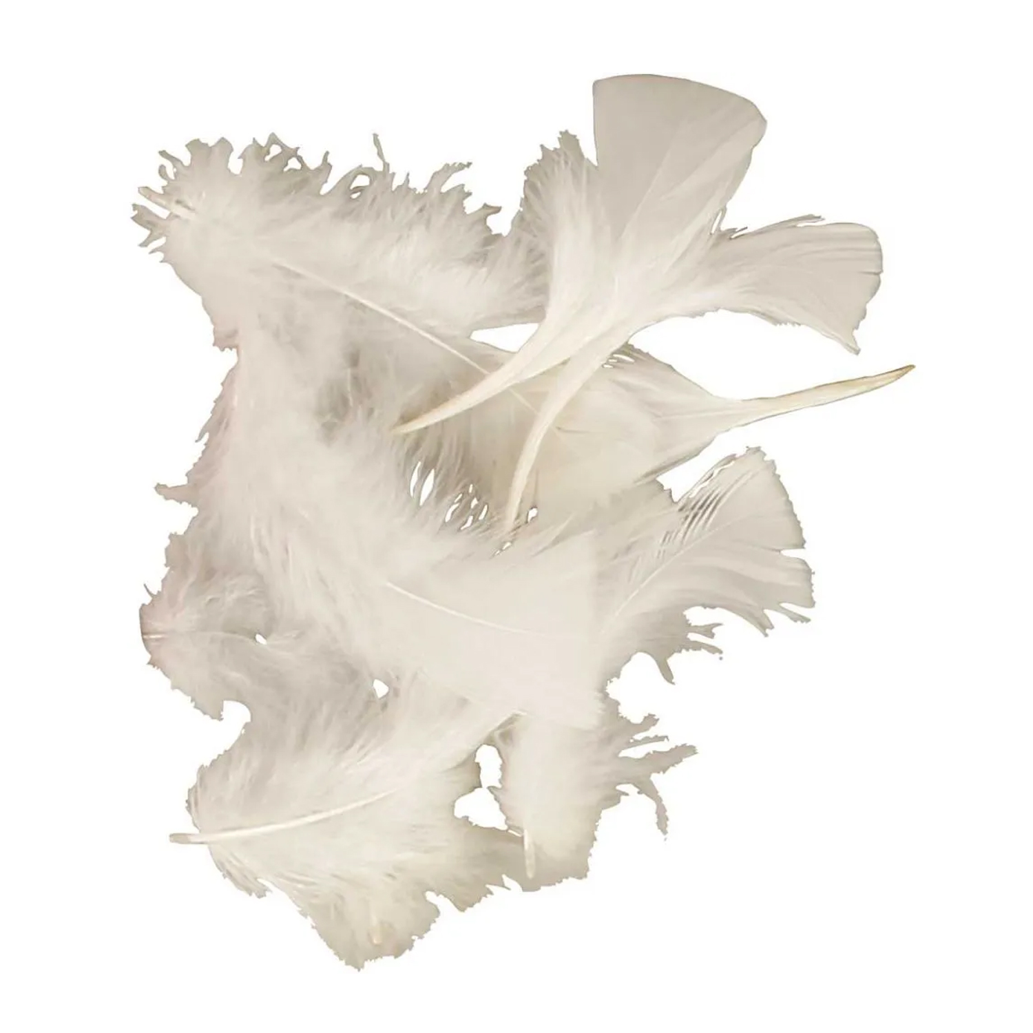 NEU Großpackung Truthahnfedern Weiß gefärbt, 50 g