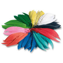 Indianer-Federn, 100g, mehrere 100 Stck SPAR-PACK