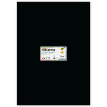 Bastelkarton / Tonkarton 180g/m�, DIN A2, 100 Blatt, schwarz