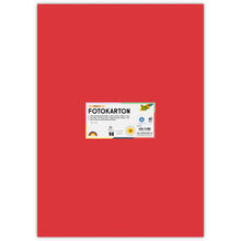 Fotokarton 10 Bogen, 300 g/qm, 50x70 cm, Hibiscus