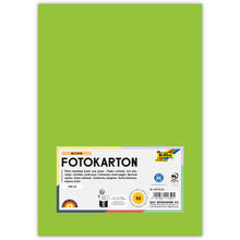Fotokarton, 50 Bogen, 300 g/qm, DIN A4, Maigr�n