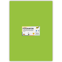 Fotokarton 10 Bogen, 300 g/qm, 50x70 cm, Maigr�n