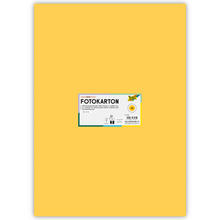 Fotokarton 10 Bogen, 300 g/qm, 50x70 cm, Gold Matt