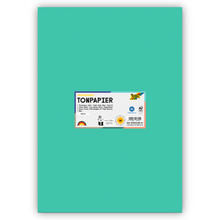 Tonpapier 130g/qm, DIN A3, 50er Pack, Mint