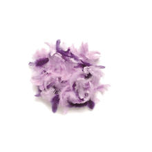 Deko-Federn, 10 g, lila sortiert