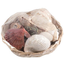 Muschelmix 350g, verschiedene Farben