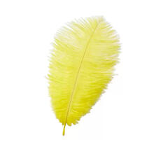 Straussenfeder, 20 cm, 2 Stck, Gelb