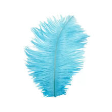 Straussenfeder, 20 cm, 2 Stck, Trkis