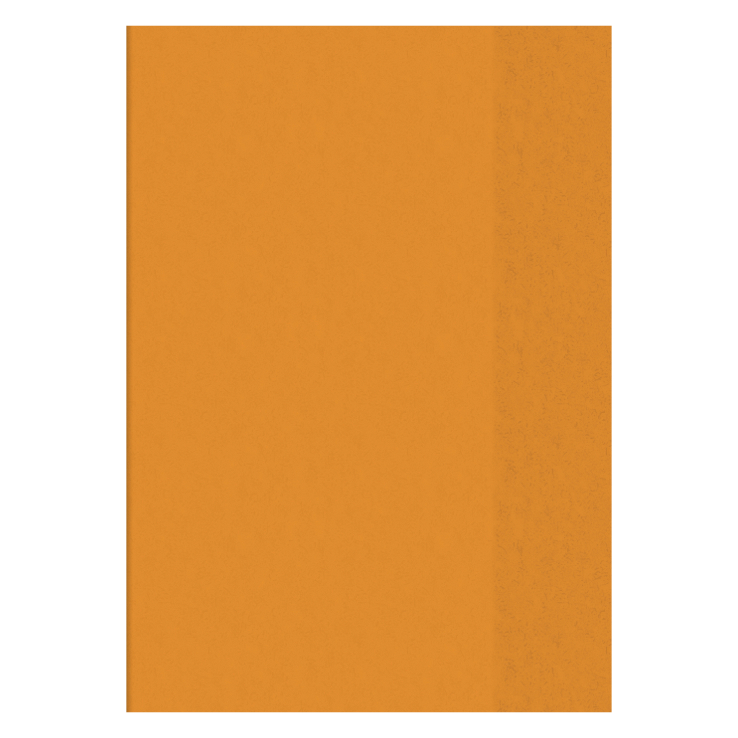 NEU Hefth�lle DIN A4, transparent-orange