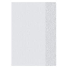 Brunnen Hefth�lle Premium Extrastark, A4, Transparent