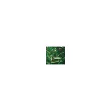 SALE Rocailles-Sortiment, 20g, 2,5mm, Grn