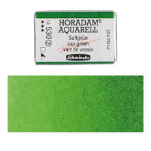 Horadam Aquarell, Saftgrn 1/1 Npfchen