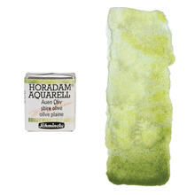 NEU Horadam Aquarell Super Granulation, 1/2 Npfchen, Auen Oliv