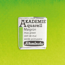 Akademie-Aquarellfarbe 1/2 Napf, Maigr�n