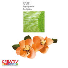 SALE Floristen Krepp-Papier, 1 Rolle, 50x250 cm, Hellgrn