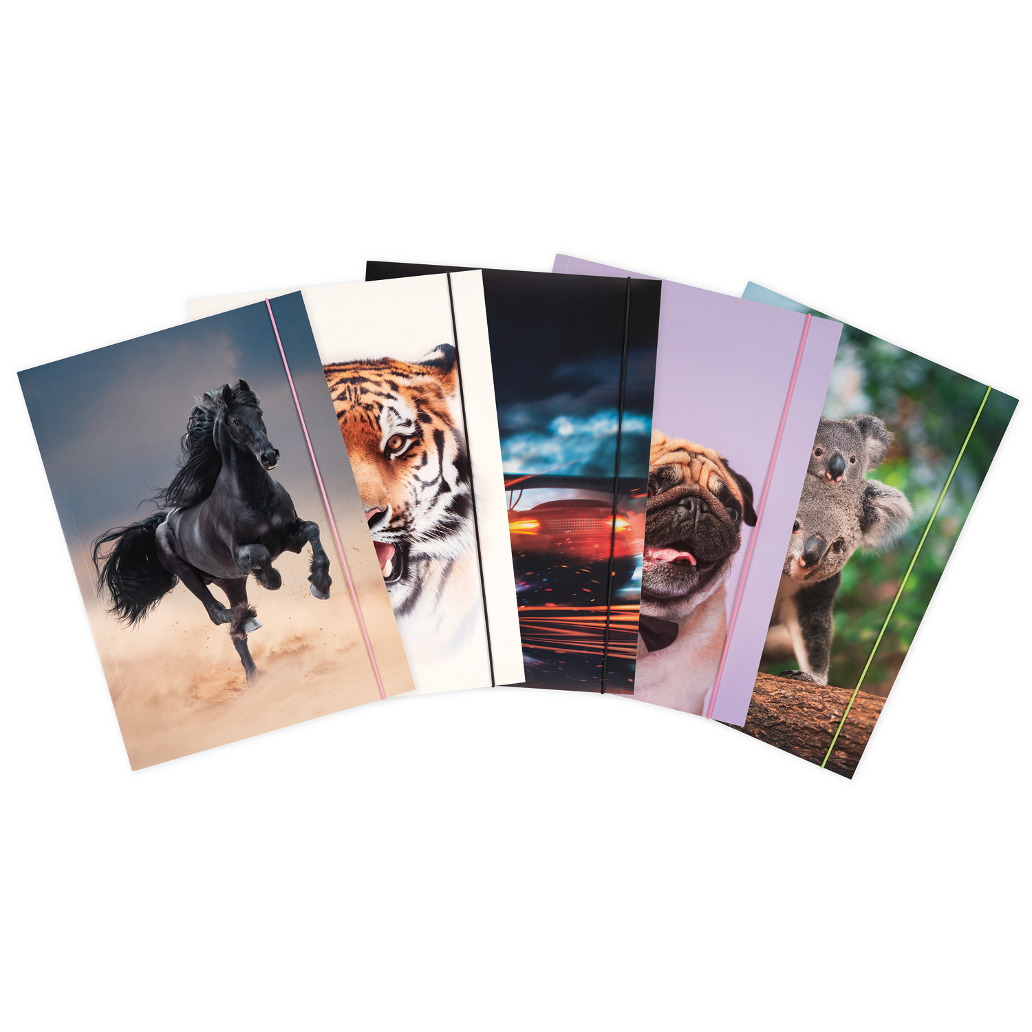 NEU Sammelmappe mit Gummiband, A3, Basic - Verschiedene Motive